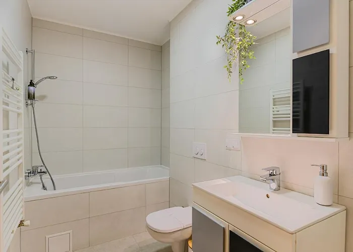 Apartment Elite 303 Brasov